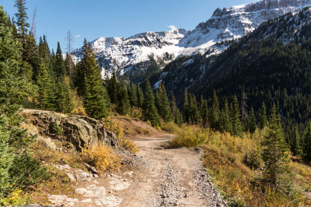 istock Ouray County Road San Juan Mountains 872954392