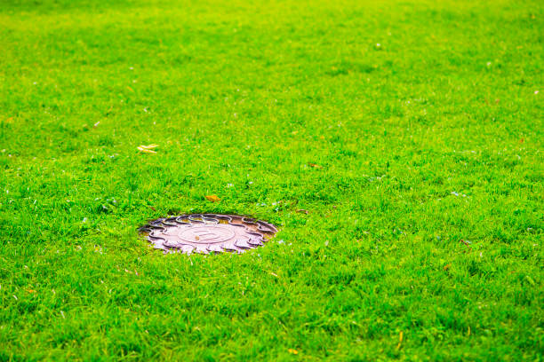 Red bar of Geodesist in the middle of a meadow and the forest in backround