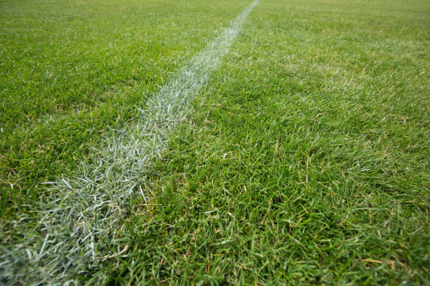 istock White marking on green grass at football stadium 872960148