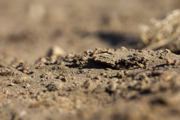 istock background of soil and sand 872983660