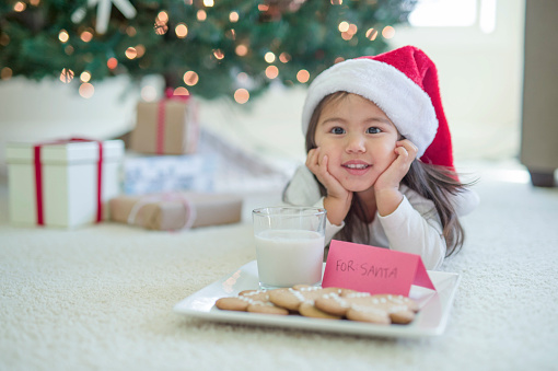 A cute toddler girl is laying in front of a Christmas tree wearing a Santa hat. She has a plate of cookies and a cup of milk for Santa. The girl is laying on her tummy and is smiling at the camera.