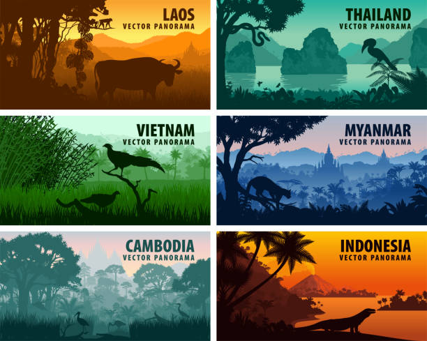 ilustrações, clipart, desenhos animados e ícones de panorama de vetor de laos, vietnã, camboja, tailândia, myanmar, indonésia - bucerotidae