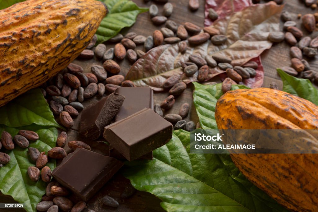 Cocoa composition Cocoa composition with two real cacao fruits, cacao leaves, nibs and dark chocolate chunks in the center, showing the different stages of chocolate. Horizontal photography. Top View. Close-up. Studio shot. No people. Chocolate Stock Photo