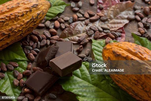 Cocoa Composition Stock Photo - Download Image Now - Chocolate, Cacao Fruit, Cocoa Bean