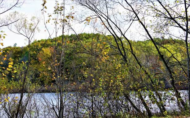 istock Inland Lake in Autumn 873016230