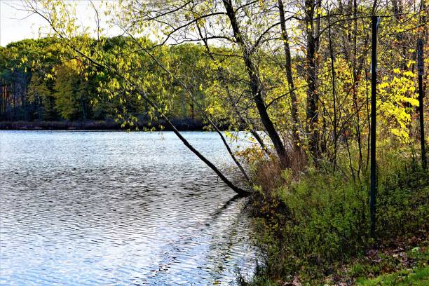 istock Inland Lake in Autumn 873016288