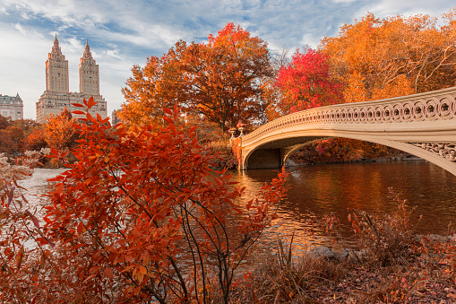 Bow Bridge in Central Park at New York City during autumn