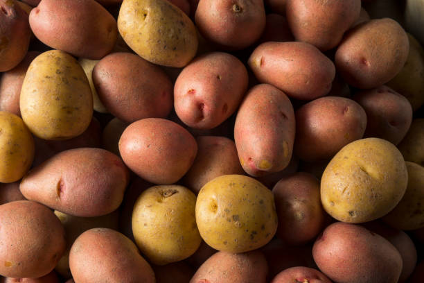istock Raw Organic Mixed Baby Potatoes 873054242