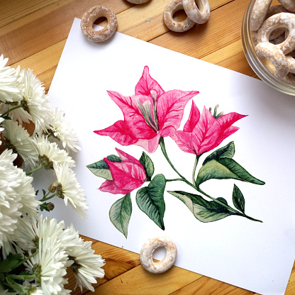 Close-up of artist workplace. Bougainvillea flower drawing on paper. On the wooden table. Bakery food decorations and camomille flowers.