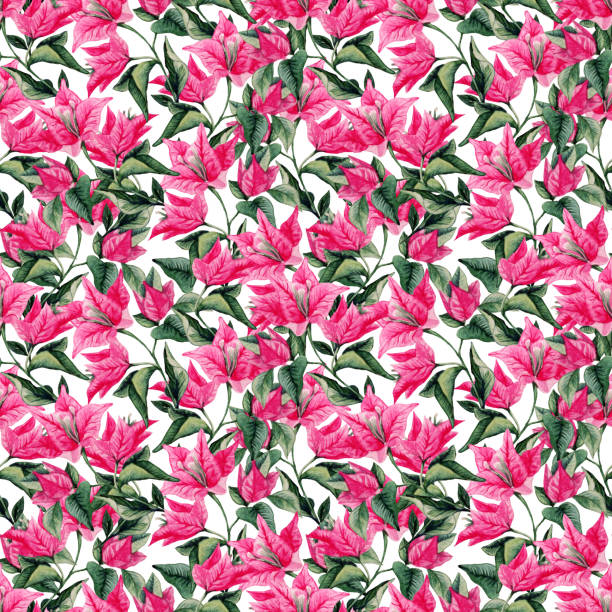 Schizanthus. Illustration, texture of flowers. Seamless pattern for continuous replication. Floral background, photo collage for textile, cotton fabric. For wallpaper, covers, print.