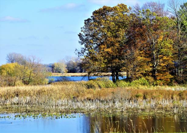 istock Kalamazoo River, Saugatuck MI, Autumn 873069092