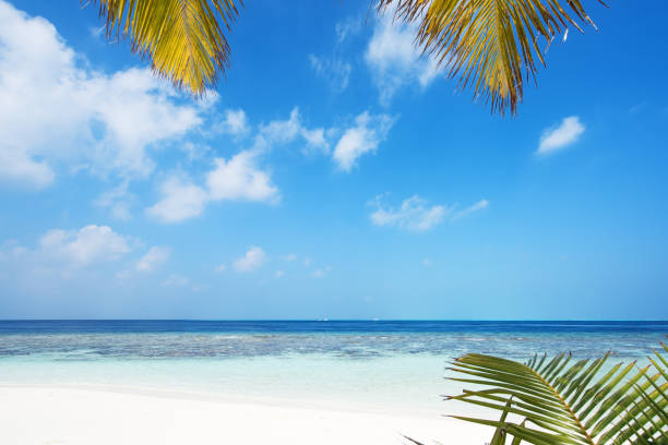 istock Tropical paradise beach of Maldives 873071786