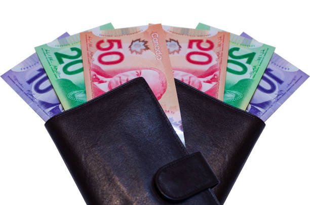 istock Canadian Dollars In Brown Wallet 873078924