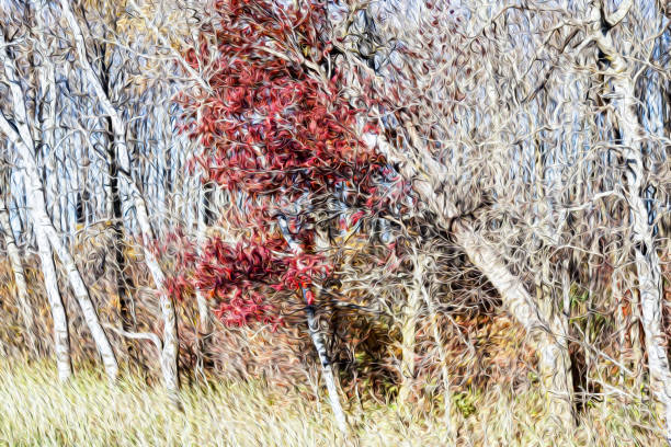 Red leaves in an Autumn forest.  Digital oil painting.