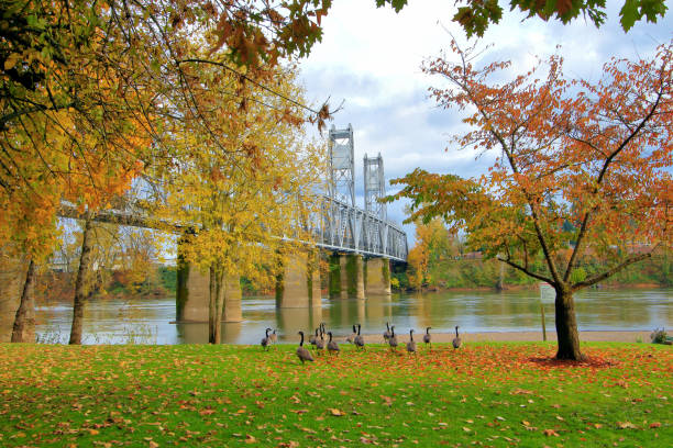 istock 4 Seasons - Union Railroad Bridge and Wallace Marine Park 873082080