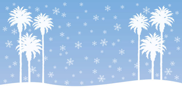 팜 트리 배경 눈이 - silhouette snowflake backgrounds holiday stock illustrations