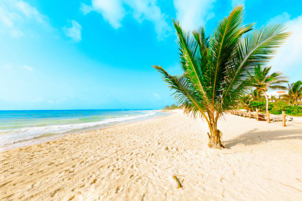 istock Caribbean Island paradise. 873085006