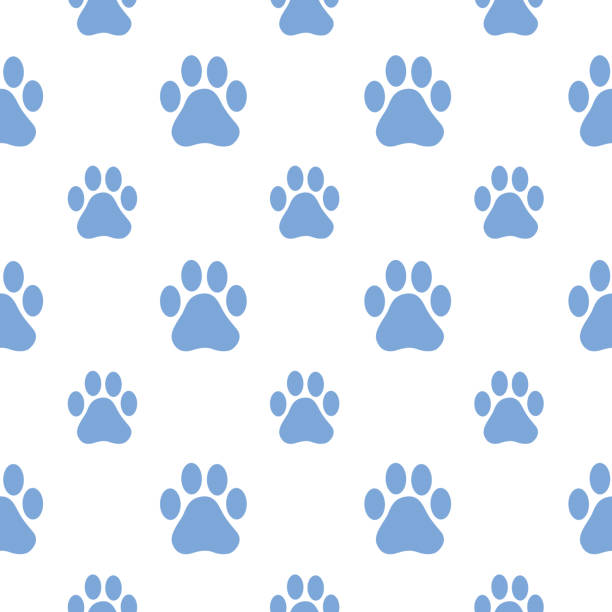 Paaw Print Examples 5,700+ Paw Print Pattern Stock Illustrations, Royalty-Free Vector ...
