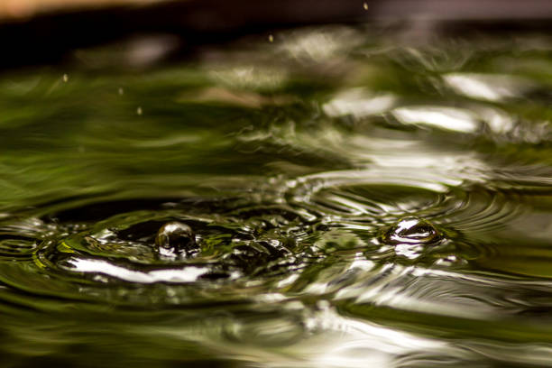 istock Water drops and wave falling into the water, Natural and peaceful concept 873104814