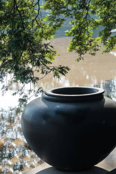 Pot by Ping River in Chiang Mai, Thialand with tree hanging over it