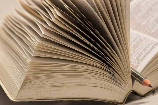 istock Pencil on open book, in the school year show intent to study and education concept 873107420