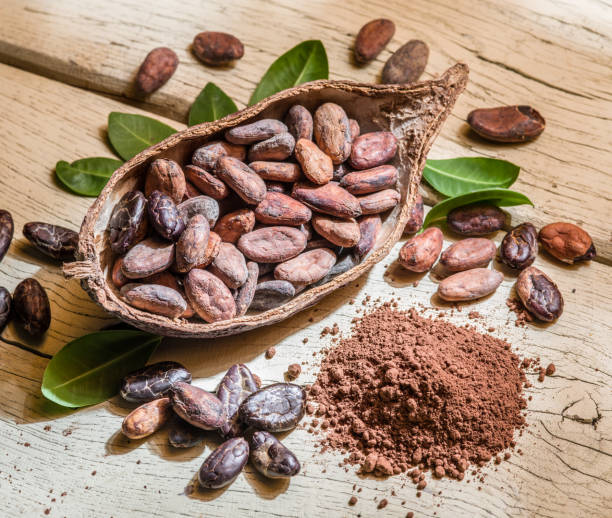 istock Cocao powder and cocao beans. 873108508