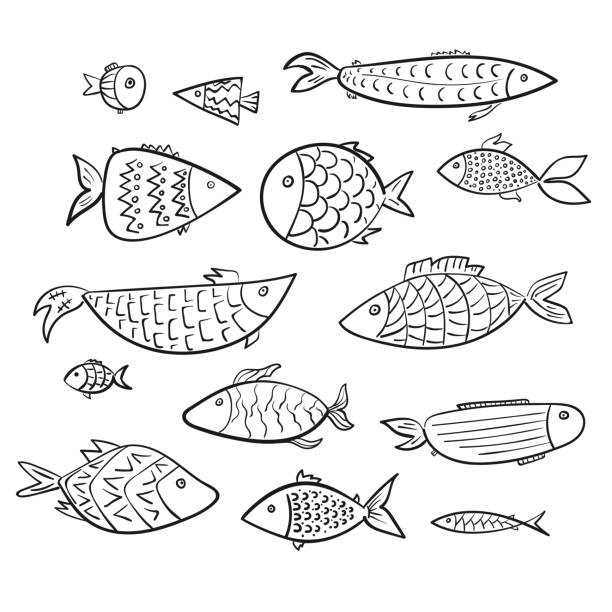 Set of cartoon kids vector outline fishes Set of cartoon kids vector outline fishes. Stylized digital hand drawn linear decorated aquarium or river fish for children color book, stickers trout illustrations stock illustrations