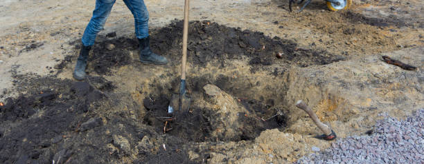 istock A man removes a stump in the garden, by rolling and sequential croaking, 873117608