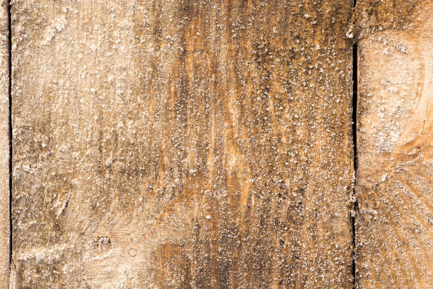 istock icy on a wooden board as a background 873126878