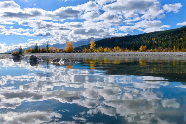 istock Kicking Horse River and reflections in autumn. 873130040