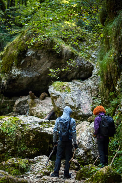 istock Hikers with backpacks in a canyon 873131220