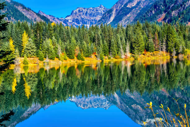 istock Gold Lake Reflection Mt Chikamin Peak Snoqualme Pass Washington 873134358