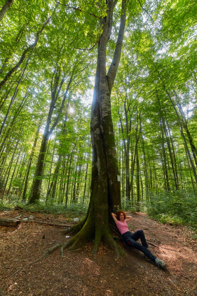 istock Woman resting after a long hike 873140568
