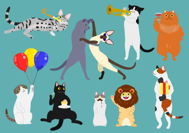 party cats set party cats set. tortoiseshell cat stock illustrations