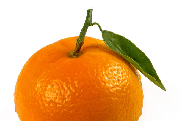 istock Tangerine isolated on white background 873153896
