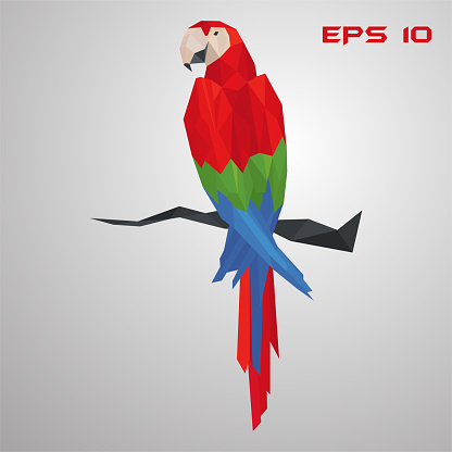 Macaw parrot low poly. Polygon exotic bird. Colorful triangle vector illustration on gray background. EPS 10.