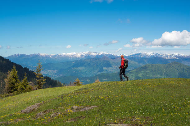 istock Traveler walks along mountain green meadow 873172630
