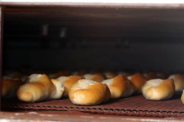 istock Baked Breads on the production line at the bakery 873177144