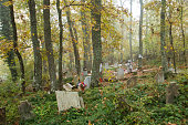 herbst-nebel-im-alten-friedhof.jpg?b=1&s=170x170&k=20&c=lM6HG2-bvcCZ-7mCr5sYbESMSSA0WKmG_6sPqHNGXmQ=
