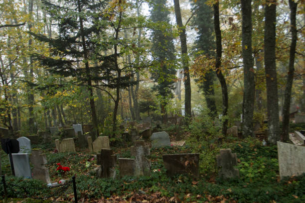 istock Autumn mist in ancient cemetery 873180552