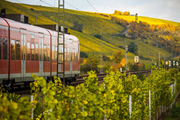A train runs through autumnal vineyards A train runs through autumnal vineyards in Nierstein. nierstein stock pictures, royalty-free photos & images