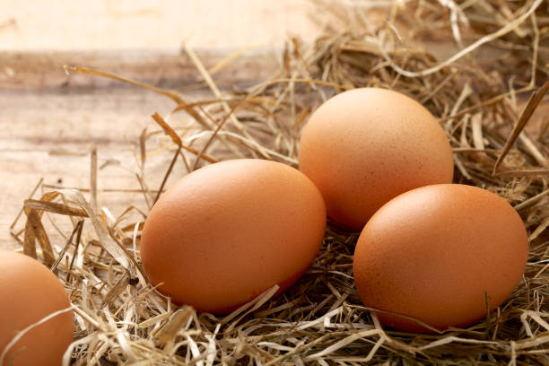 istock Fresh chicken eggs and straw on wooden background 873188292