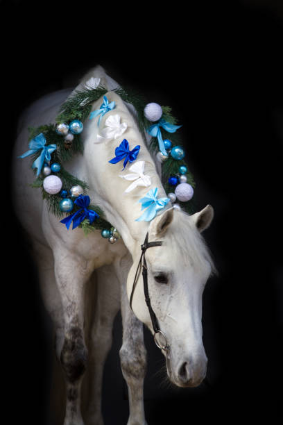 istock Horse with christmas decoration 873197518