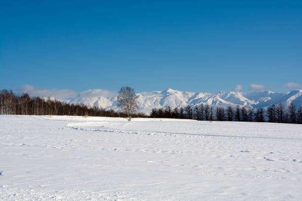 istock Winter blue sky and snowy mountains,snowy field 873207904