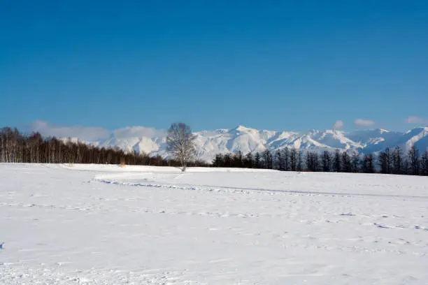 Winter scenery with snowy mountains,Tokchi mountain rang in Hokkaido Japan
