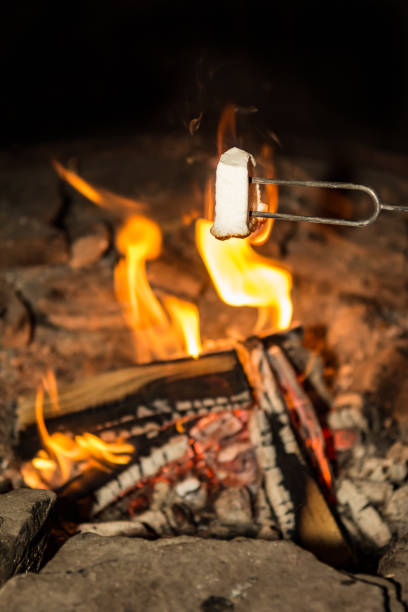 焚き火でマシュマロを調理 - rock sugar ストックフォトと画像