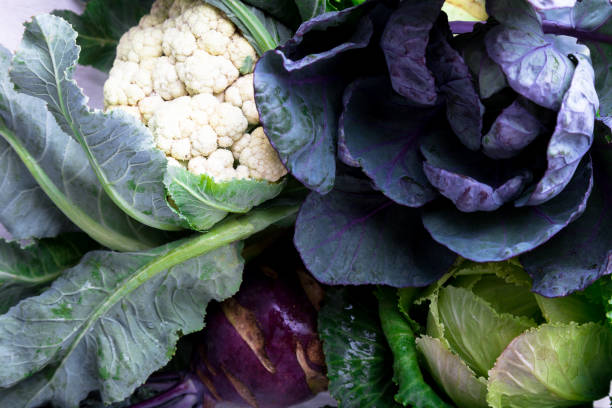 istock Various of Cabbage Broccoli Cauliflower.  Assorted of Cabbages Background 873236032