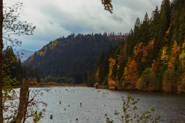 istock River with old stumps in water surrended by wooded hills 873238660