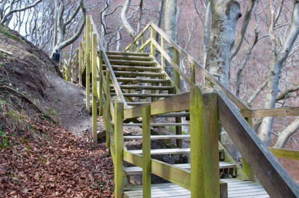 istock Stair on Mons Klint in Denmark 873238688