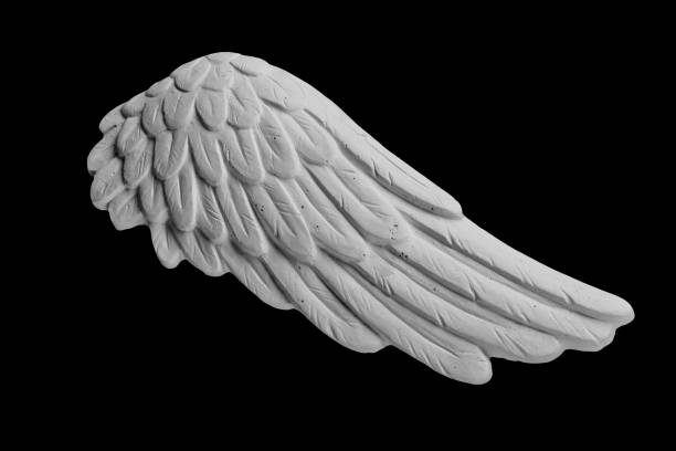 white plaster wing on a black background white plaster wing on a black background winged cherub stock pictures, royalty-free photos & images